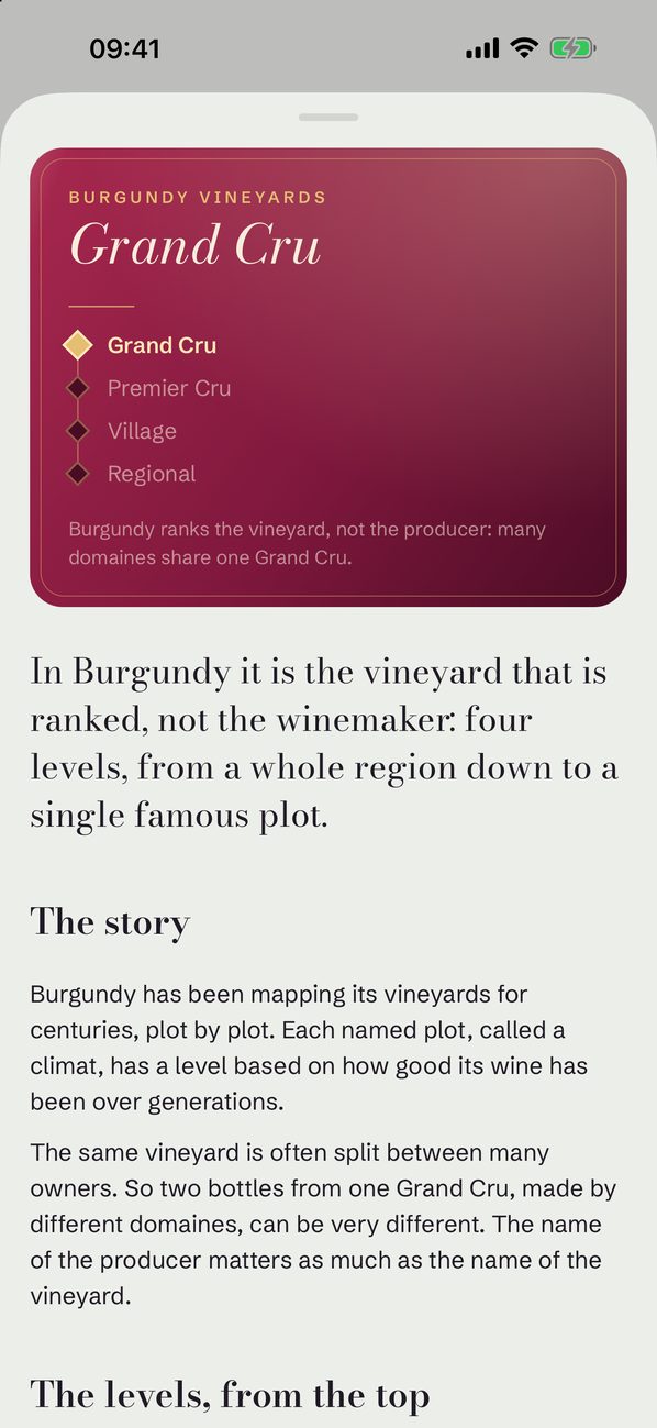 A plain-language guide to Burgundy Grand Cru